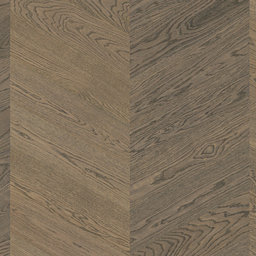 拉圖魚骨拼地板