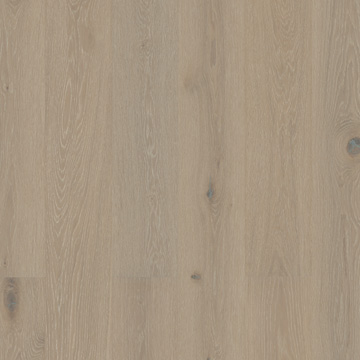 喜來(lái)登灰橡