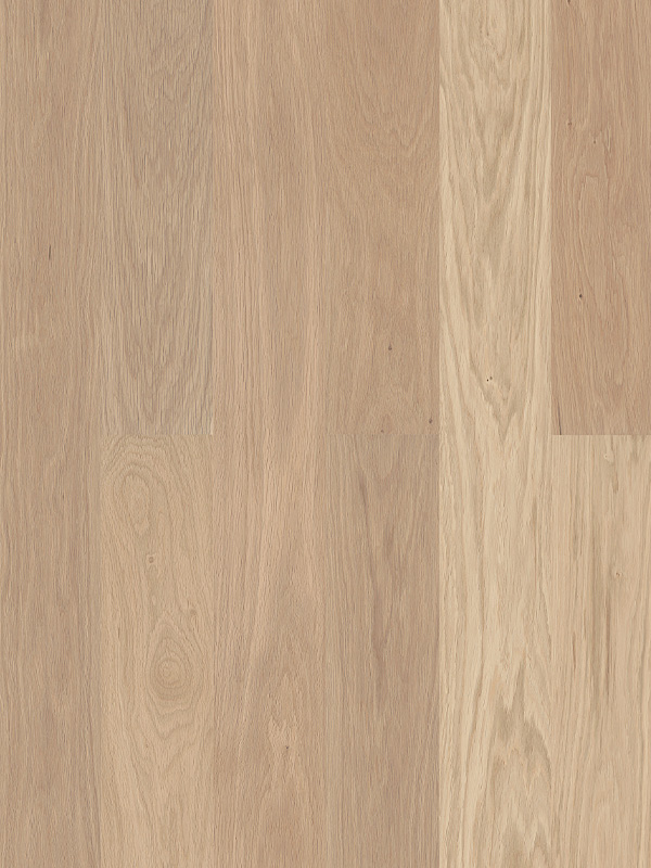 植物油天然珍珠橡木