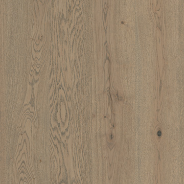 華里達(dá)古橡