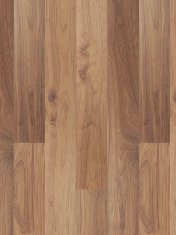 天然美國黑胡桃(222)