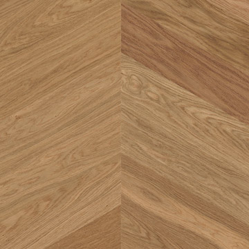 海恩勒魚骨拼（準分子納米技術(shù)）