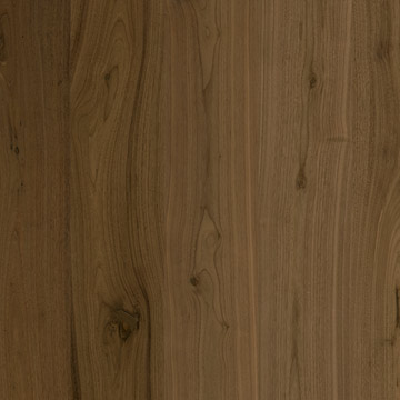 鄉(xiāng)村級(jí)美國黑胡桃