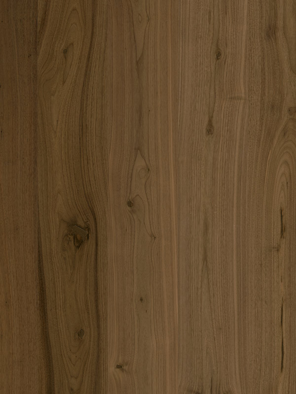 鄉(xiāng)村級美國黑胡桃