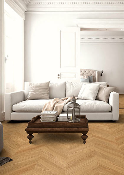 可持續(xù)森林資源